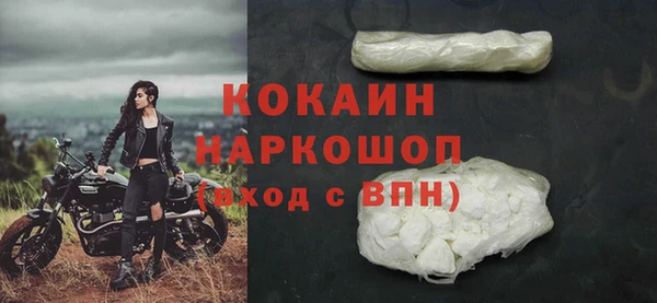 дживик Бородино