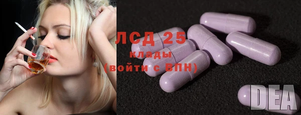 дживик Бородино