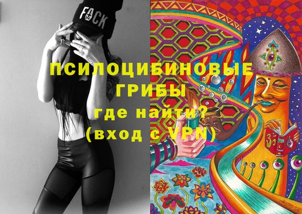 гашик Бронницы