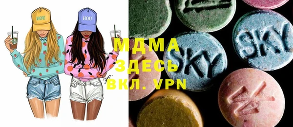 дживик Бородино