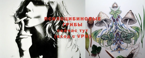 дживик Бородино