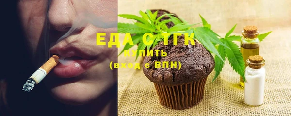 дживик Бородино