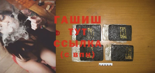 дживик Бородино