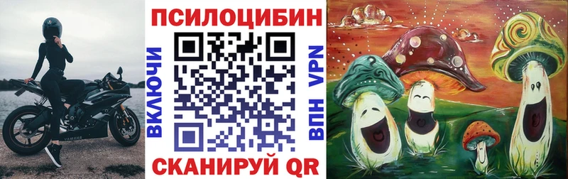 Псилоцибиновые грибы мицелий  Шебекино 